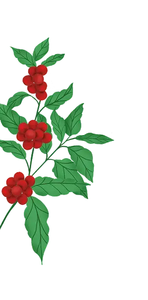 Ornamento decorativo